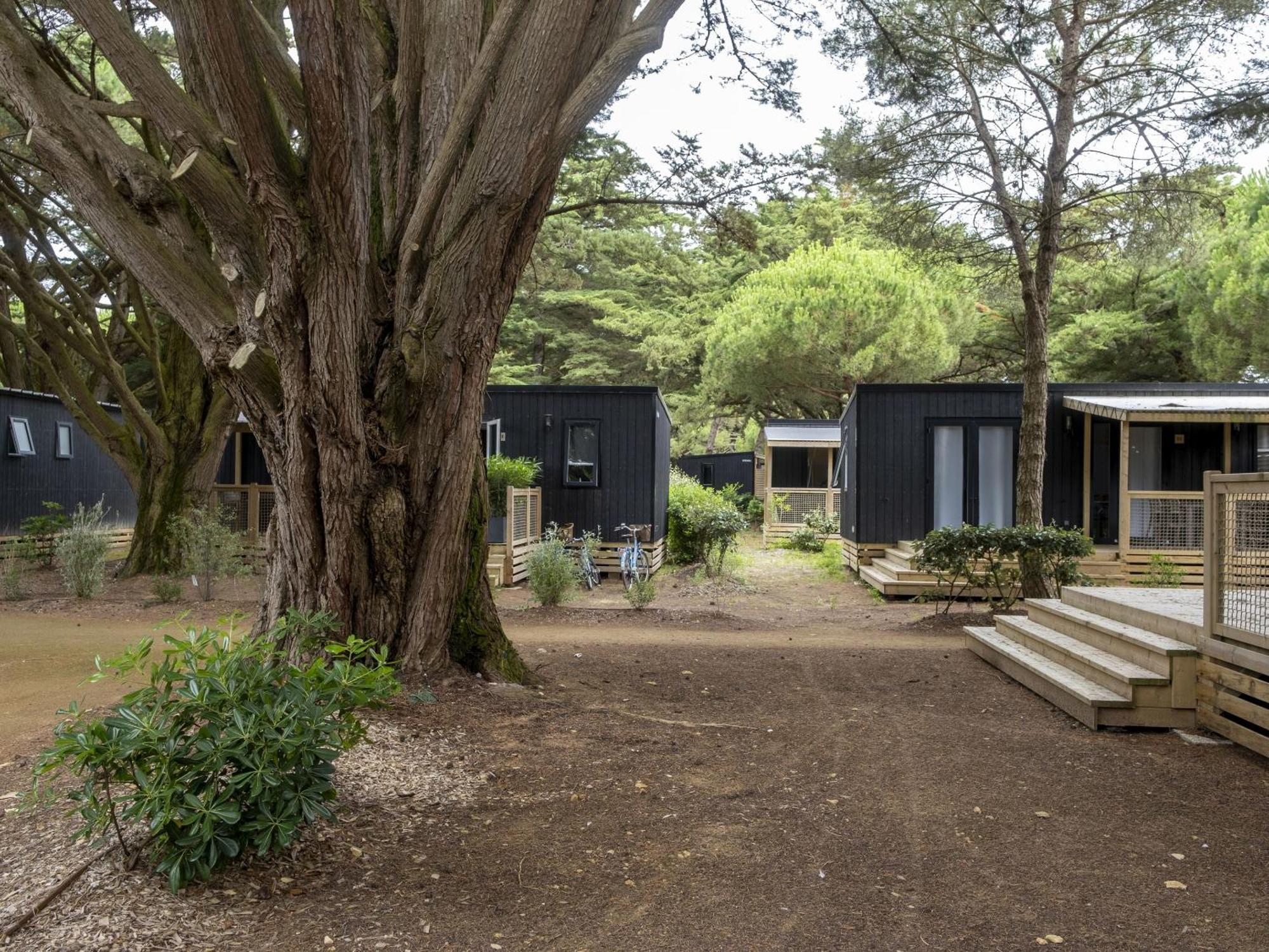 Domaine Résidentiel De Plein Air Odalys Tamarins Camping 4*